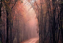 -包含BRO险胜DK，Uzi团战一打五鏖战多局成都决赛之夜，技惊四座的词条