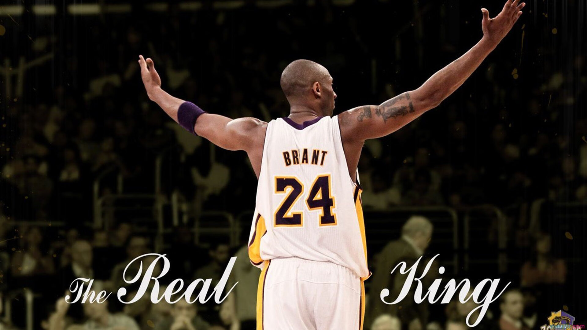 从墨尔本到世界,兹维列夫澳网完胜背后的戴维斯杯精神